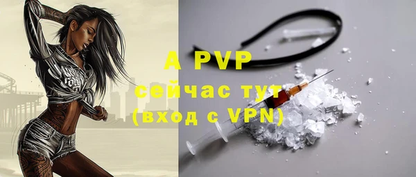 apvp Щёлкино