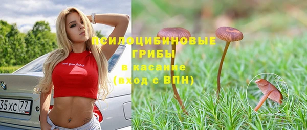 крисы Михайловка